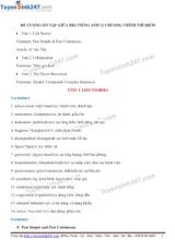 Đề cương ôn tập giữa học kỳ I môn Tiếng Anh Lớp 12 (Chương trình thí điểm)